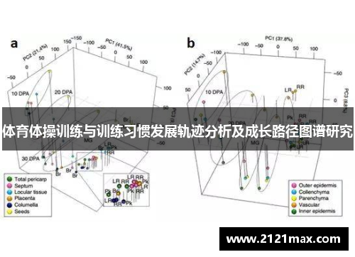 体育体操训练与训练习惯发展轨迹分析及成长路径图谱研究